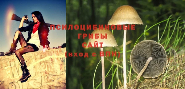 тгк Волосово