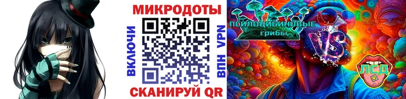Купить закладки  Чистополь  Псилоцибиновые грибы мицелий 